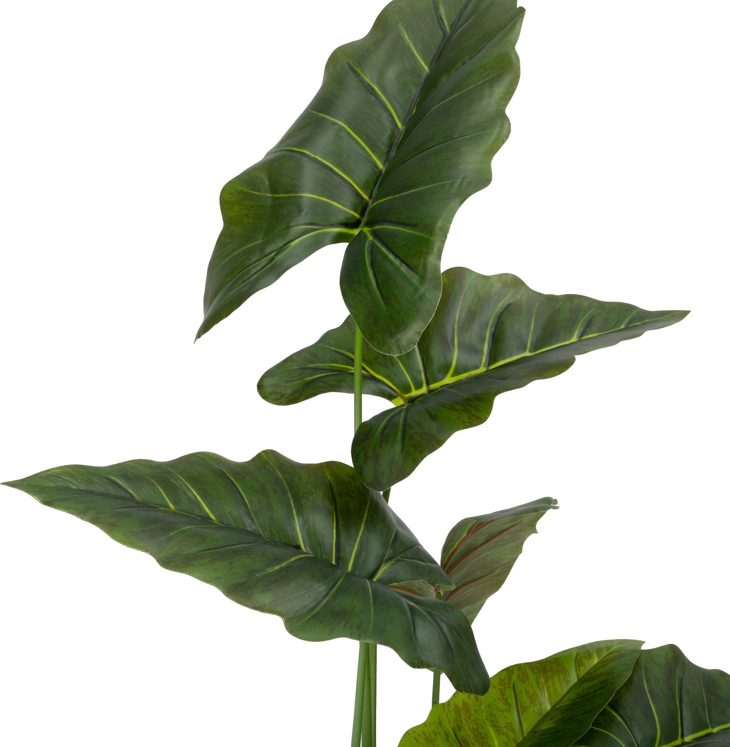 Intratuin kunstplant Alocasia H 95 cm