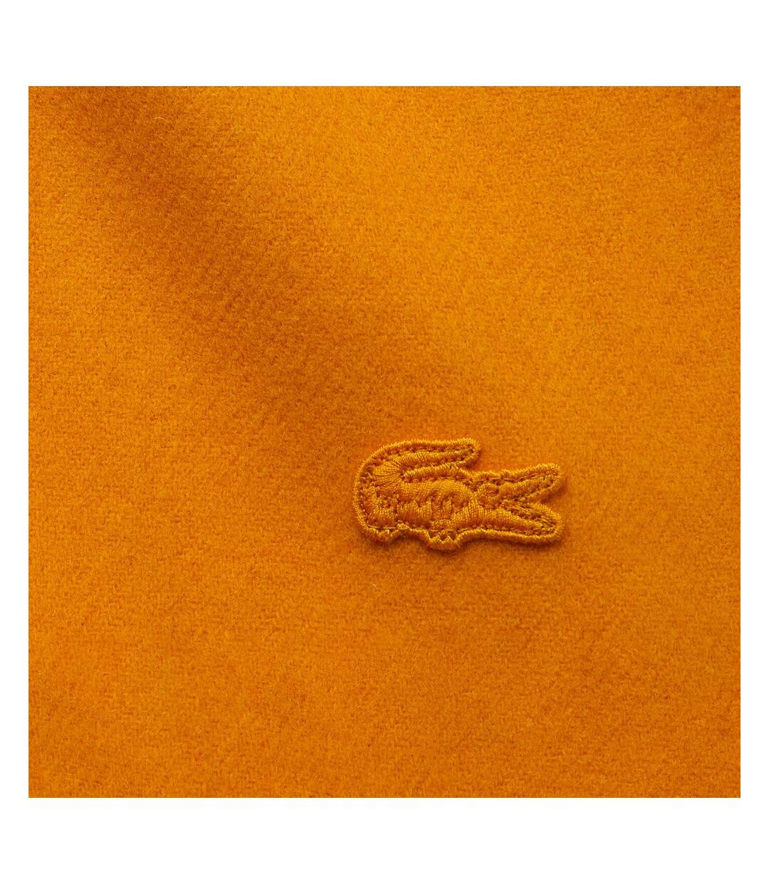 Écharpe Jaune Homme Lacoste RE2220