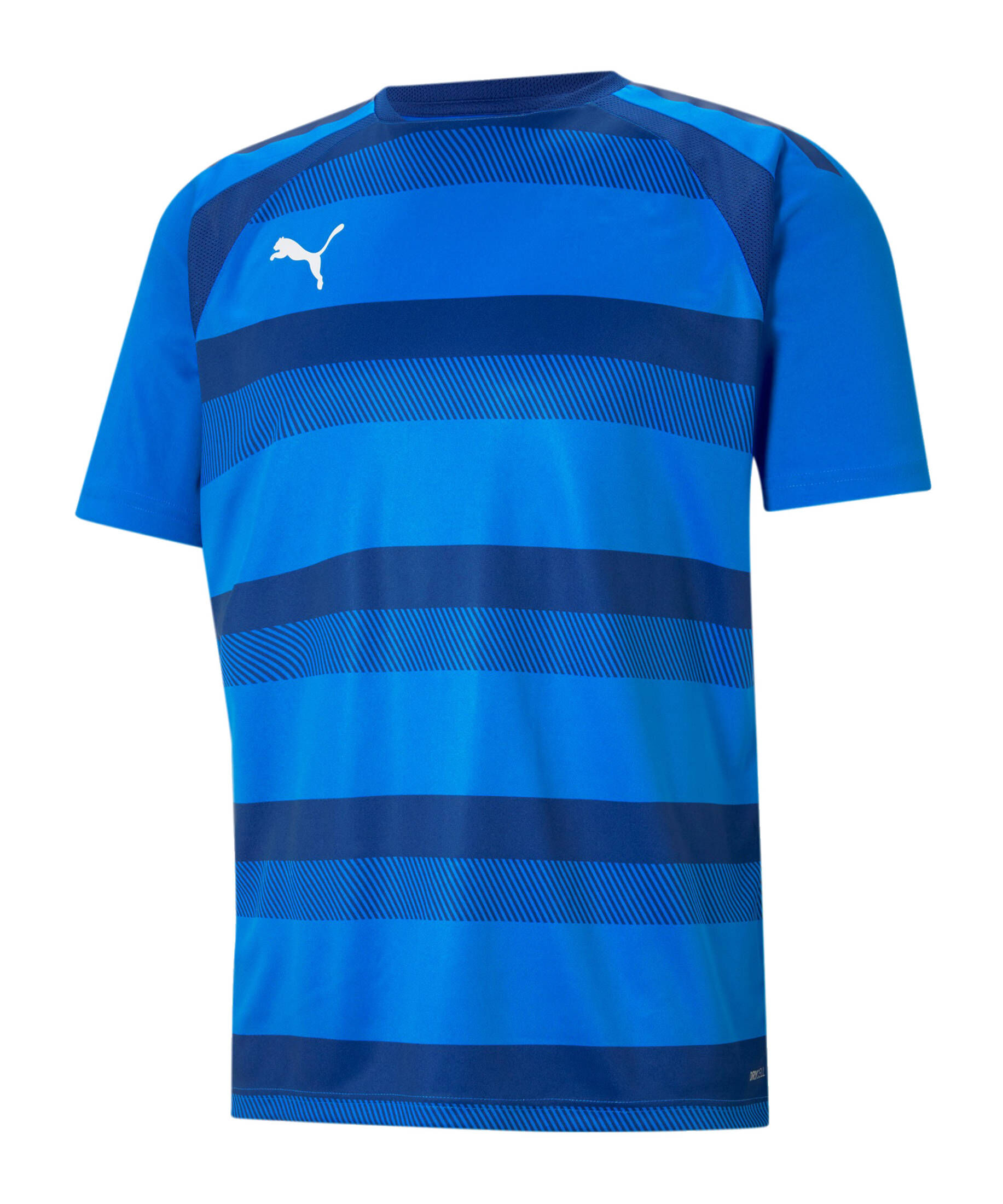Puma| Kinder Fußballtrikot TEAMVISION JERSEY JR