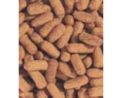 Tetra Pond Kleursticks 1 L