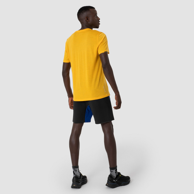 Salewa Herren Pedroc DST Wo Shorts