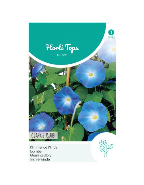 Hortitops Ipomoea - Klimmende Winde Clark's Blue - Bloemenzaden - 2 g