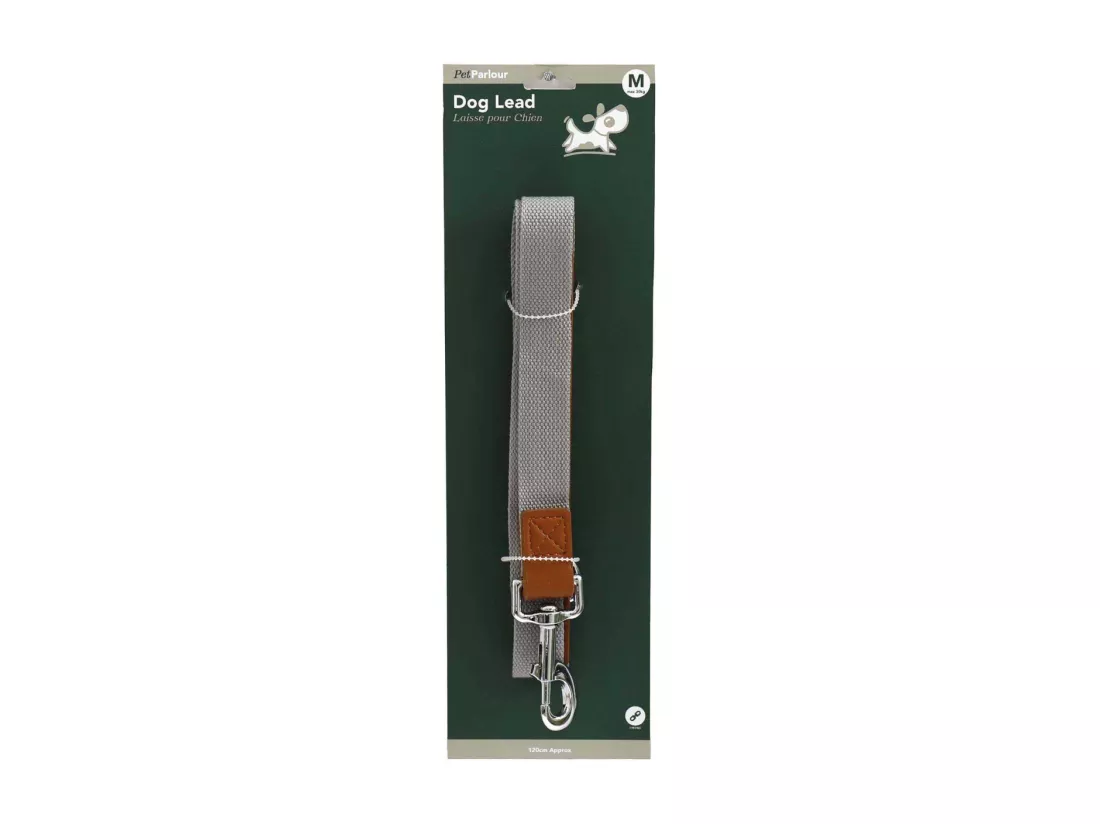 Laisse en polyester 120 cm