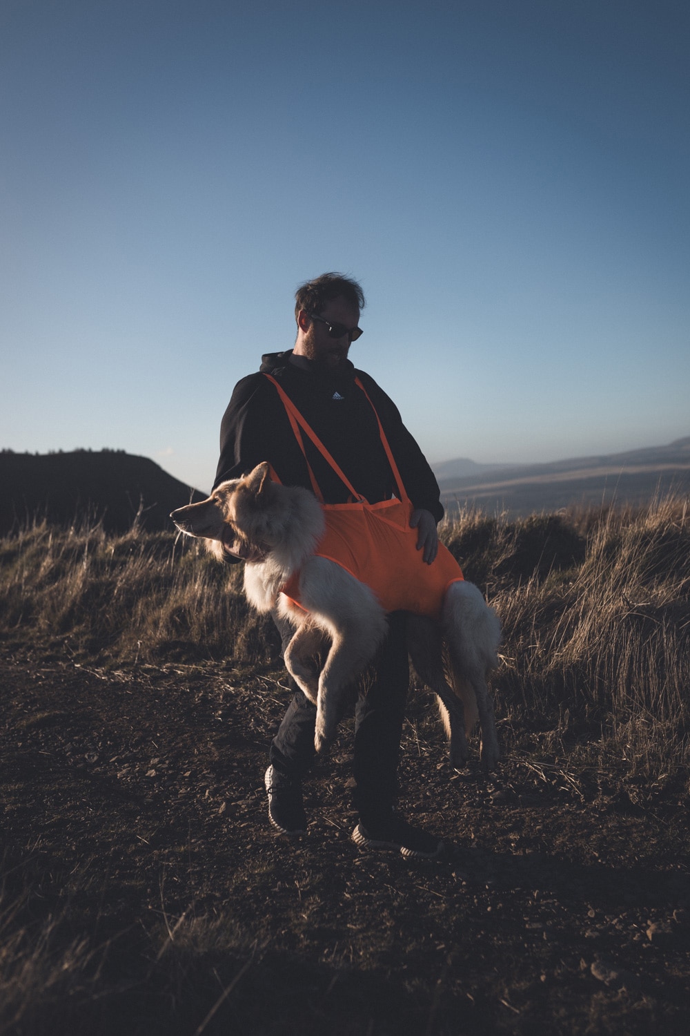 Non-Stop Dogwear Dog rescue sling<br>Lett, rask og pålitelig – når hunden trenger deg mest!