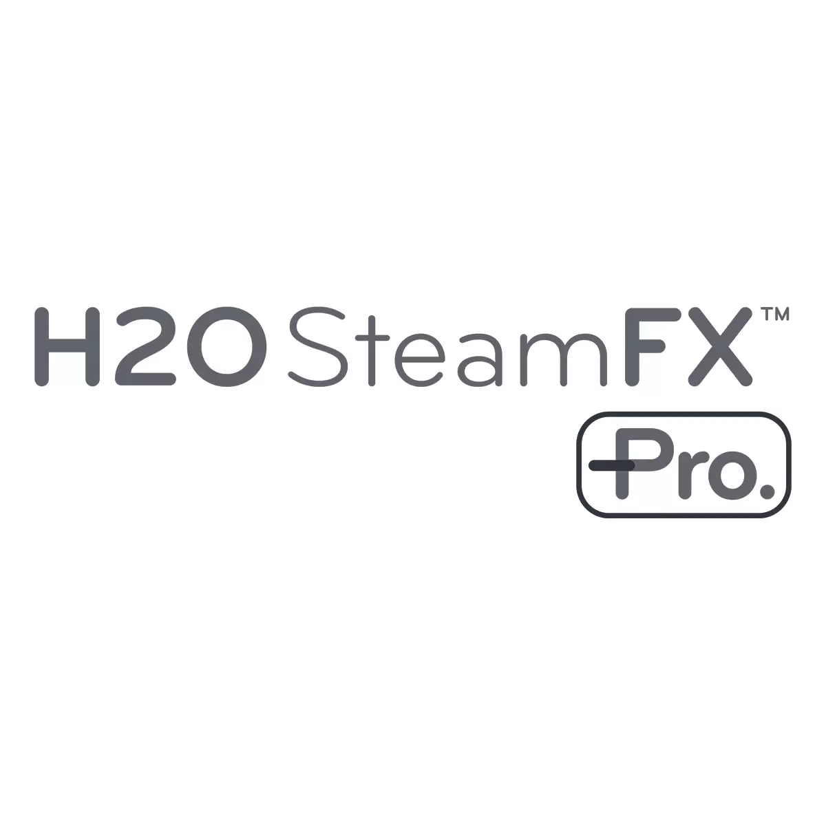 Dampfreiniger H2O Steam FX Pro