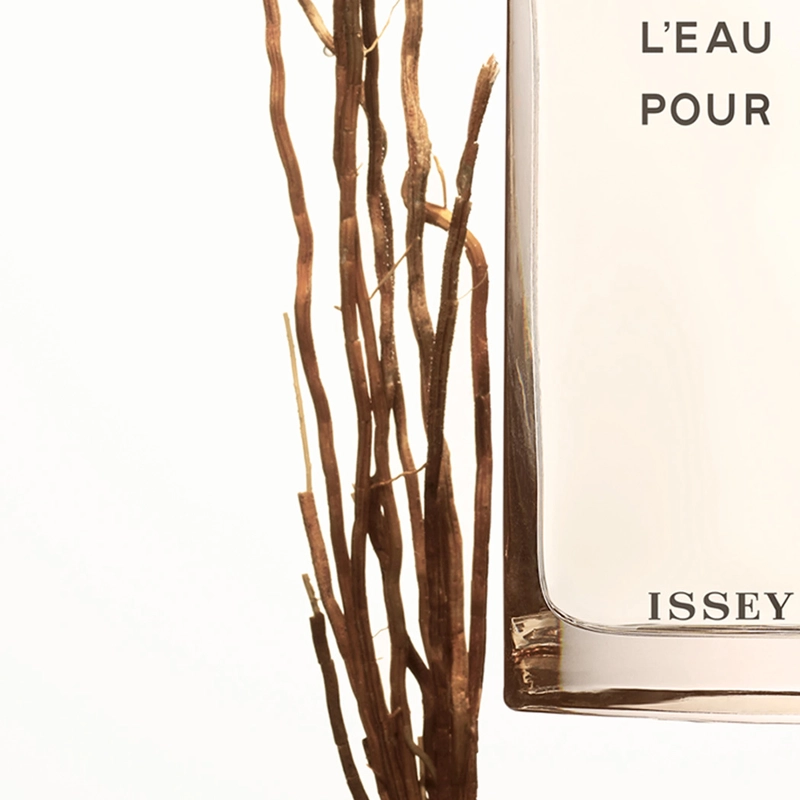 Issey Miyake Vetiver EDT 100 ml