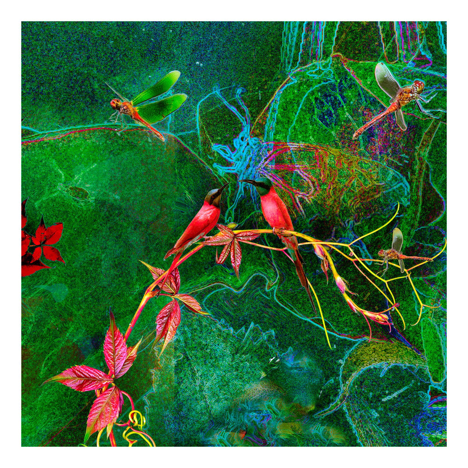 Florales m. Scharlachstinten by Heidrun Göres - Limited Edition. Edition of: 150. Signed.
