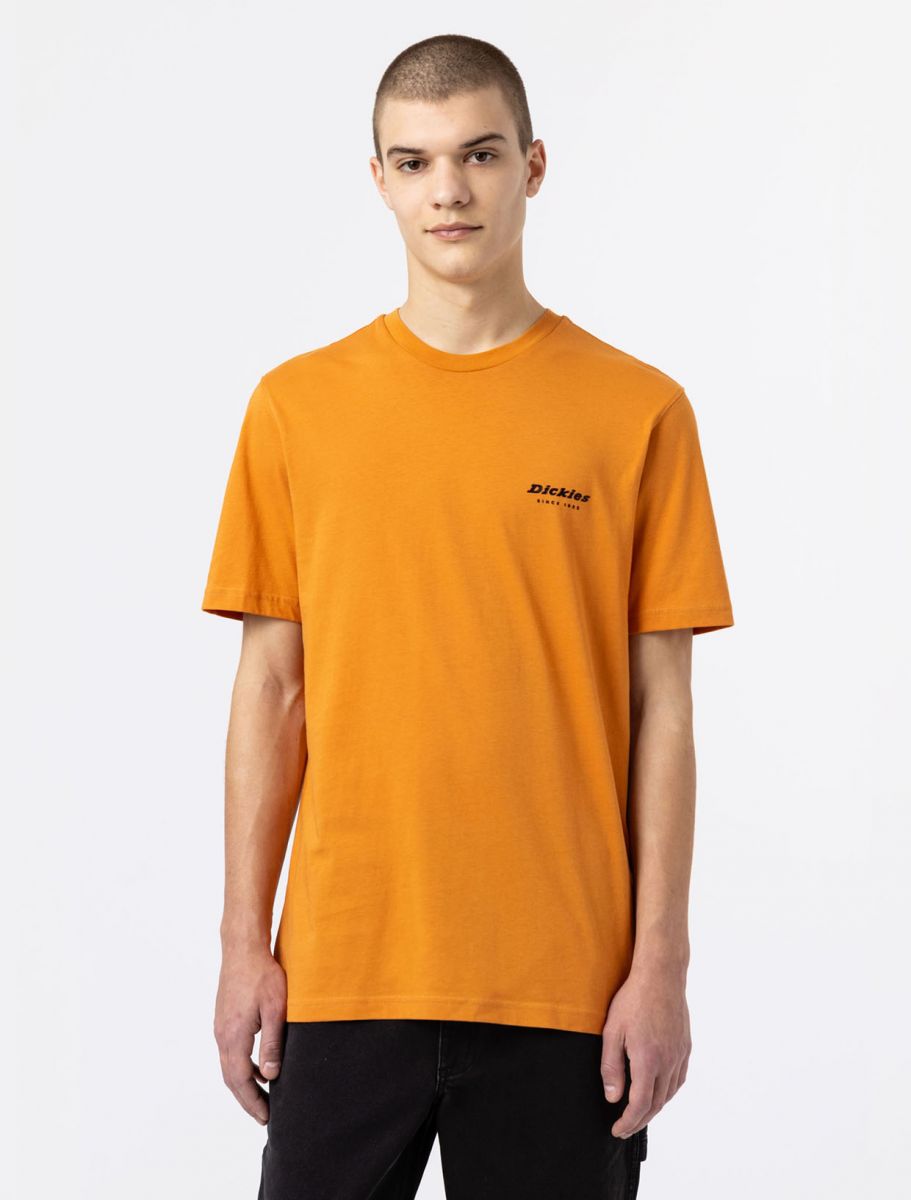 Dickies Artondale Box Tee SS Golden Ochre