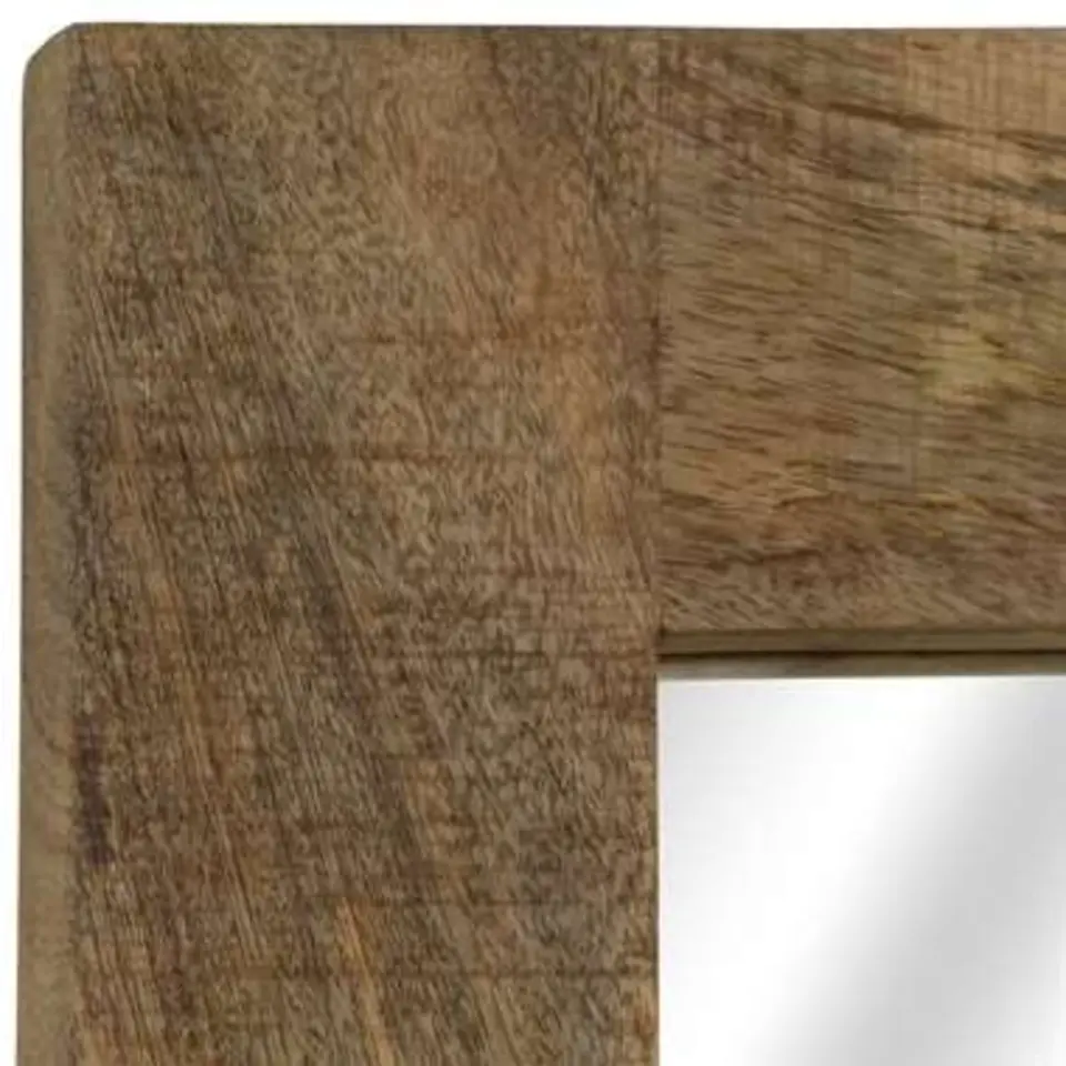 vidaXL - Spiegel - Bruin - Hout - 50 x 110 cm