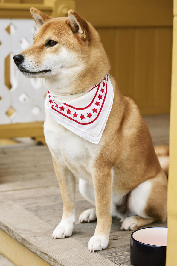 Hay HAY Dogs Scarf-55 x 55-Off-white