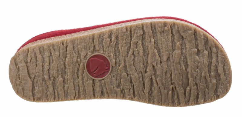 Haflinger Grizzly Kris Rood