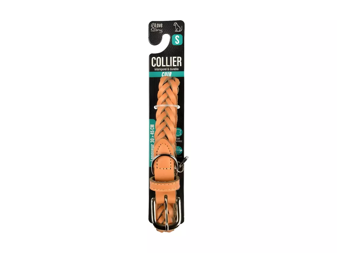 Collier pour Chien Réglable 