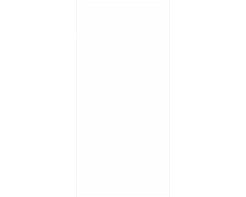 SCHULTE DecoDesign douchewandpaneel, effen kleur briljant wit hoogglans, 210 x 100 cm, LW19010213 761