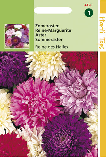 Hortitops Zomeraster Reine Des Halles - Bloemzaden