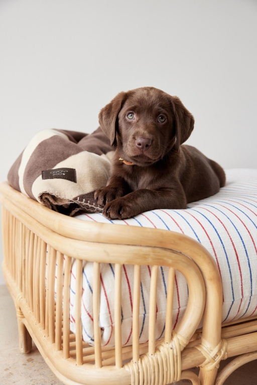 OYOY Otto hondenmand Small rattan