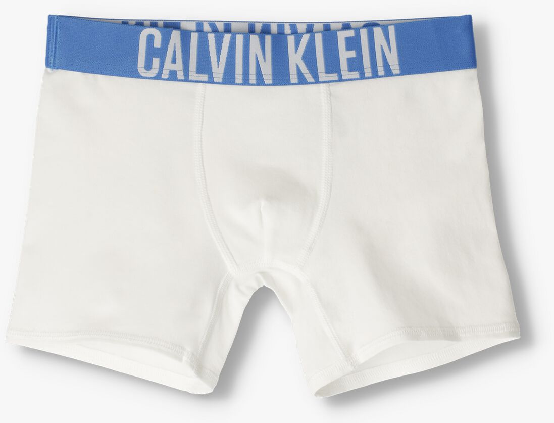 CALVIN KLEIN UNDERWEAR multi calvin klein underwear boxershort 2pk boxer brief