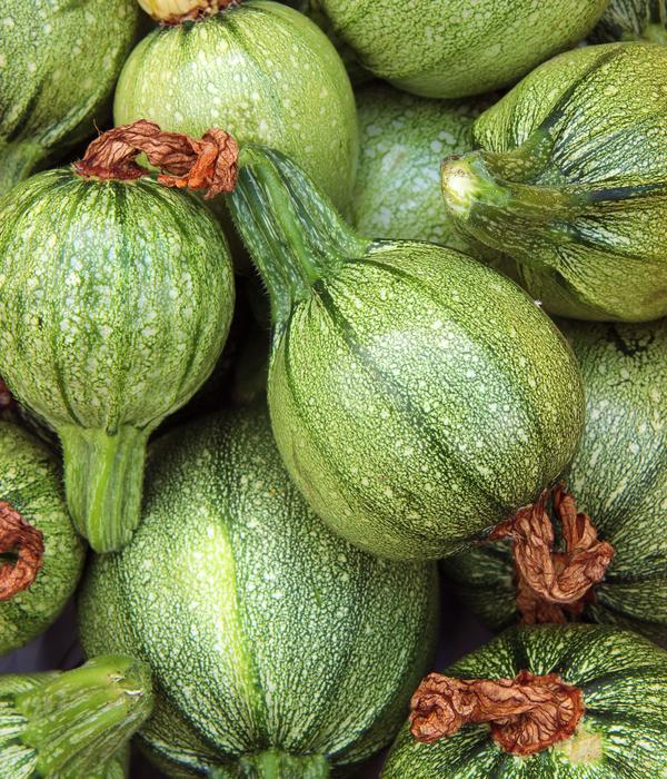 Dehner Bio-Saatgut Zucchini 'Tondo chiaro di