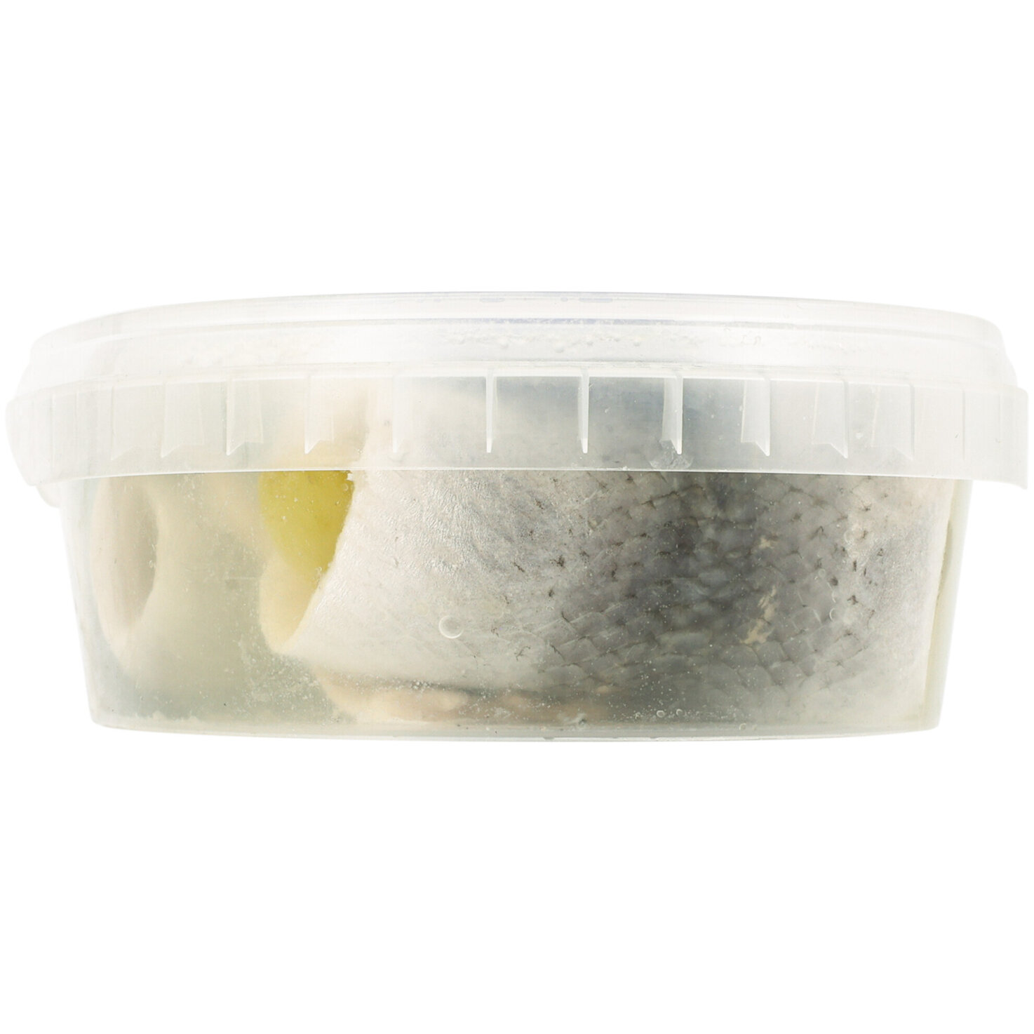 MSC Rollmops