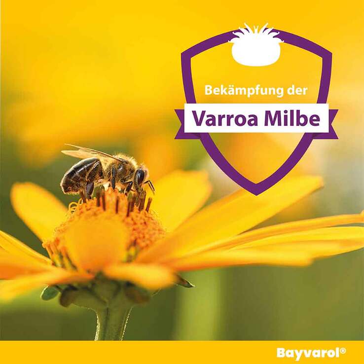 Bayvarol® Streifen für Honigbienen, 5X4 St