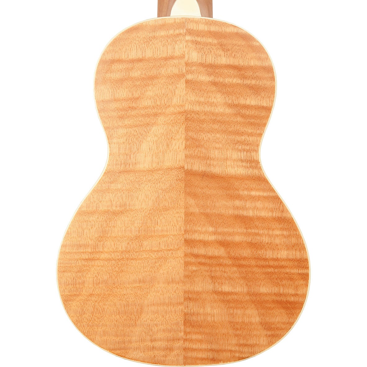 Gold Tone RESOUKE CM resonator tenor ukelele met gigbag