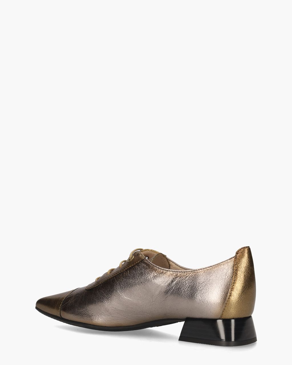 Hispanitas HI234634 Goud/Zilver Dames Veterschoenen