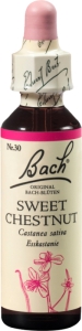Bachblüten Original Sweet Chestnut No30