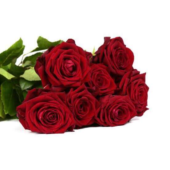 Botte de Roses 'Red Naomi' - 7 tiges : rouge