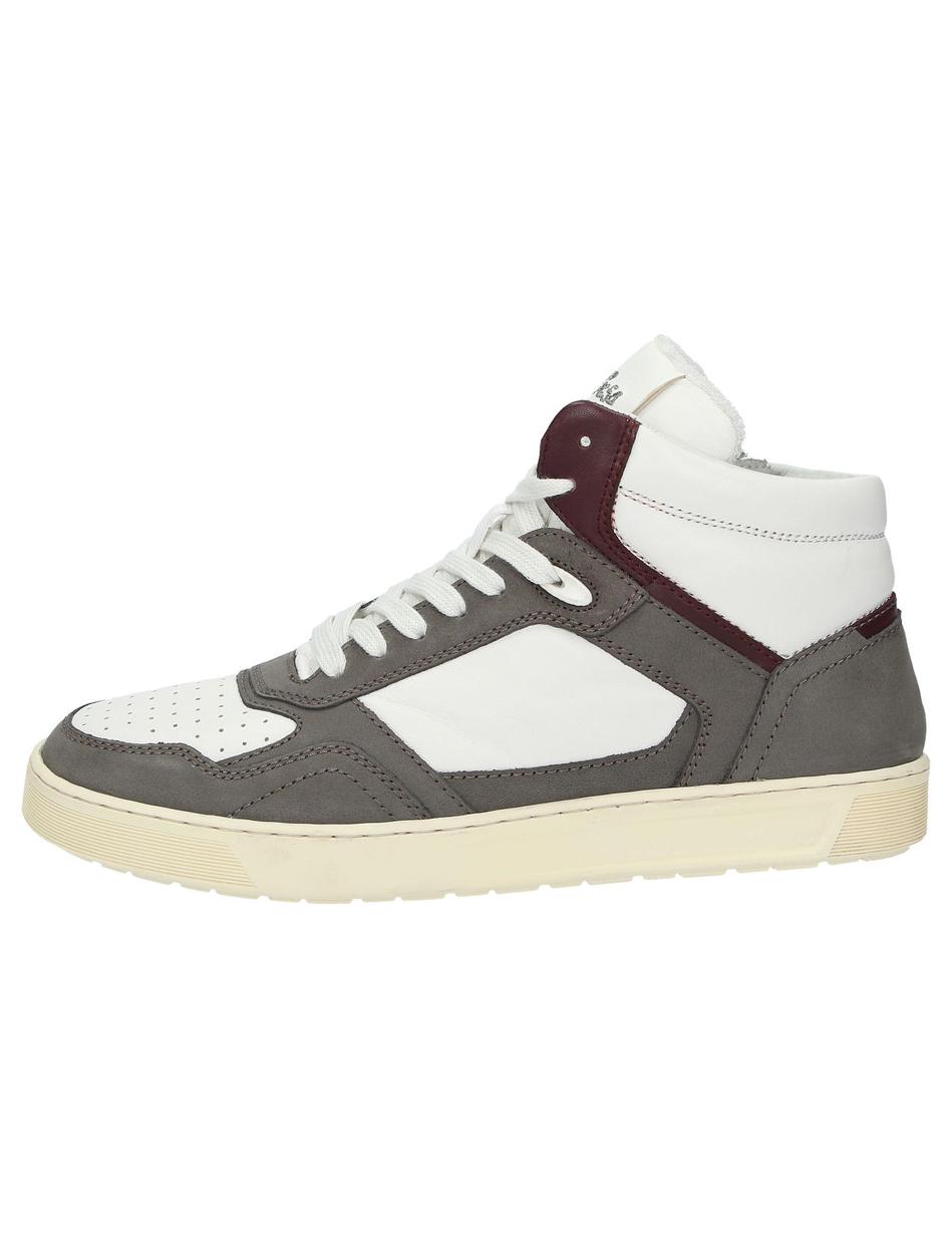 Stiefelette Tedroso-705