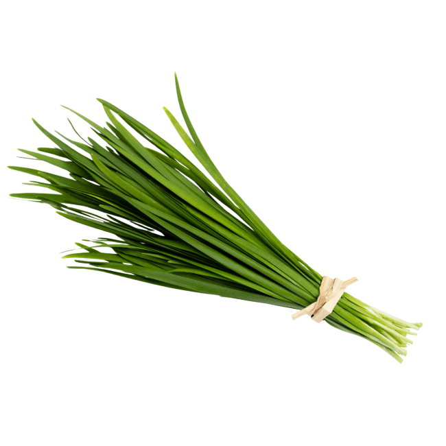 Dagverse Chinese Knoflookbieslook (Gau Choy) 250g