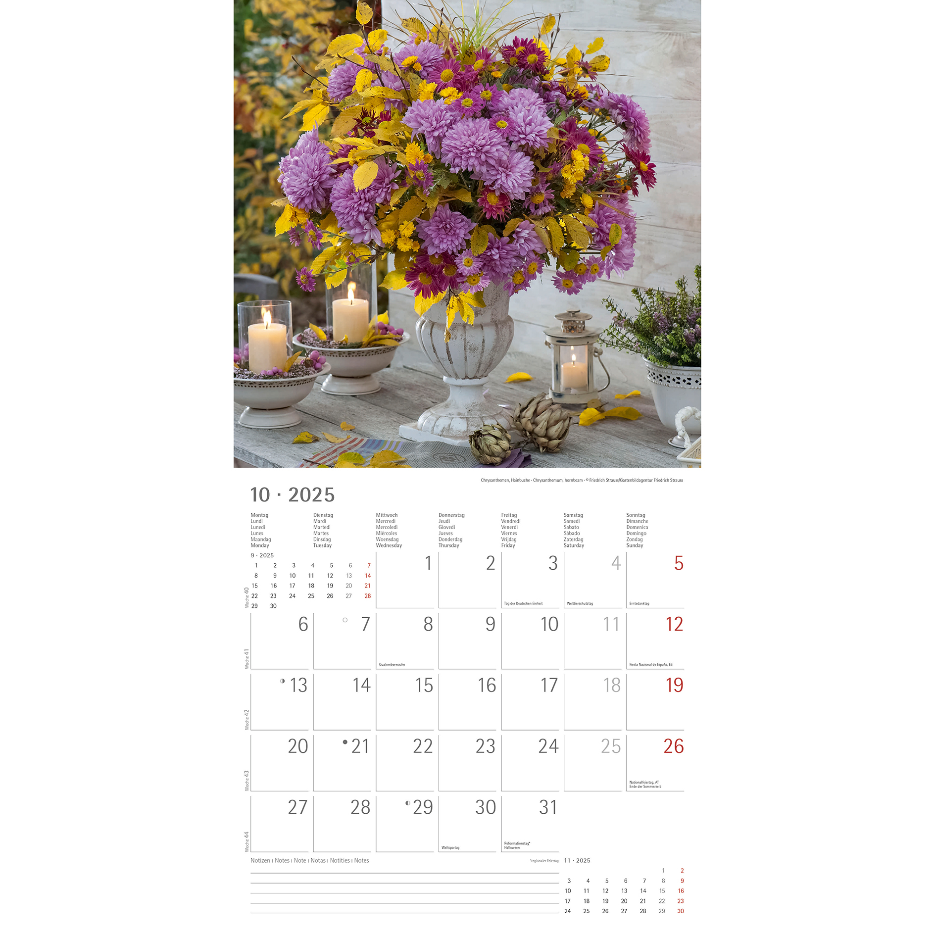 Broschürenkalender 2025 - Blumen - 30x30 cm