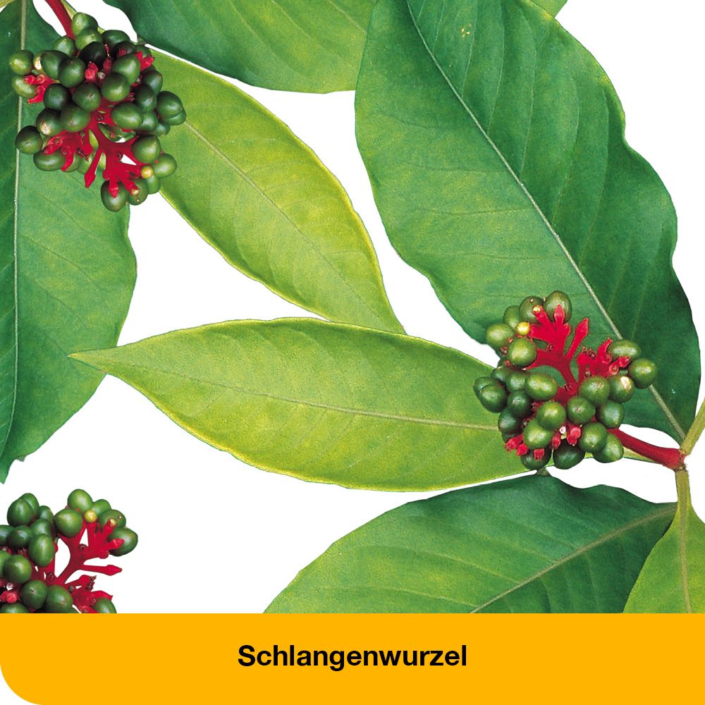 dystoLoges® Tropfen