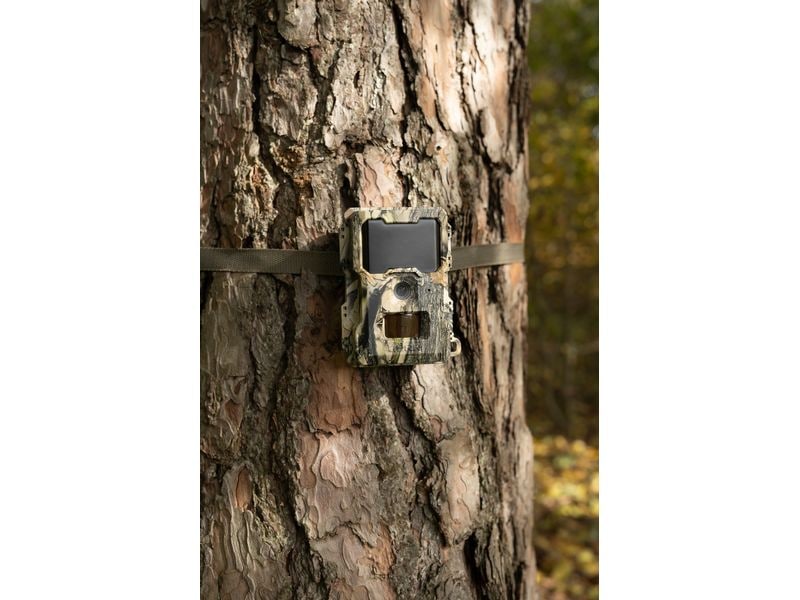 Dörr Kamera Wildkamera SnapShot Mini 5.0 Pro Überwachungskamera für hochauflösende Wildtierbeobachtung und Sicherheitsüberwachung