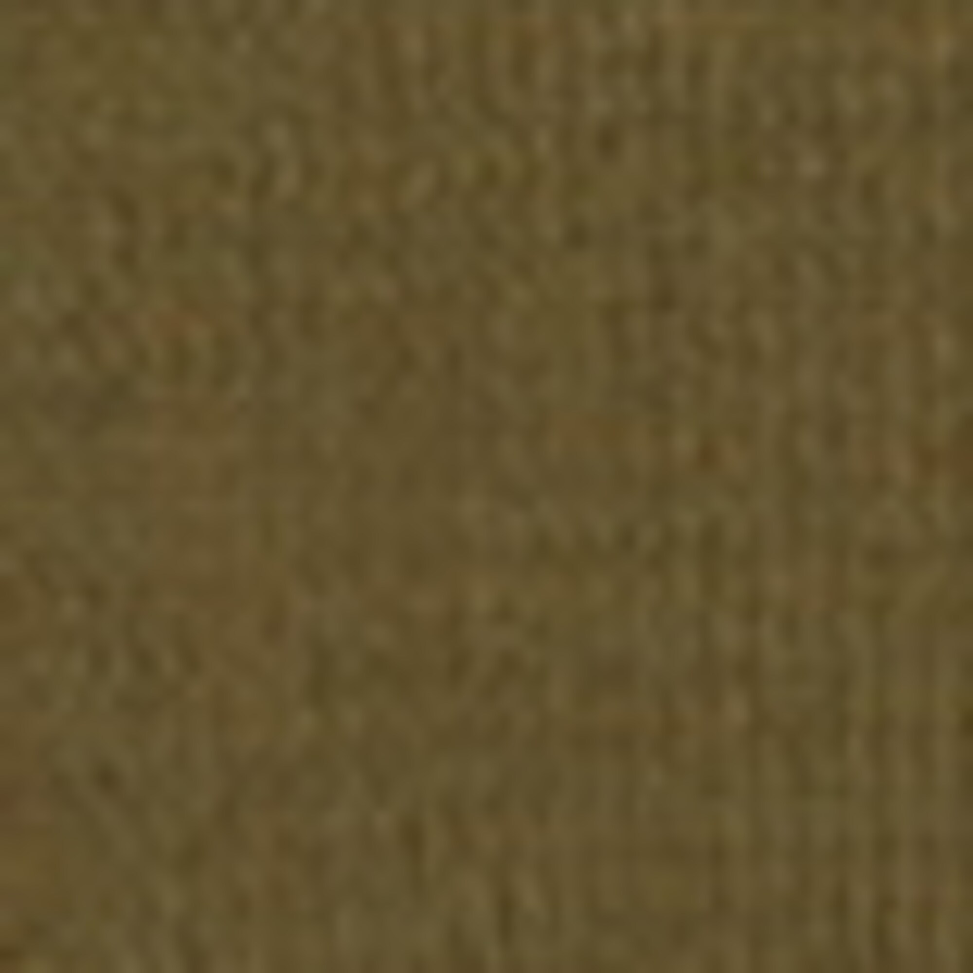 DfC Strickkleid shapedaus schwerer Bio-Baumwolle
