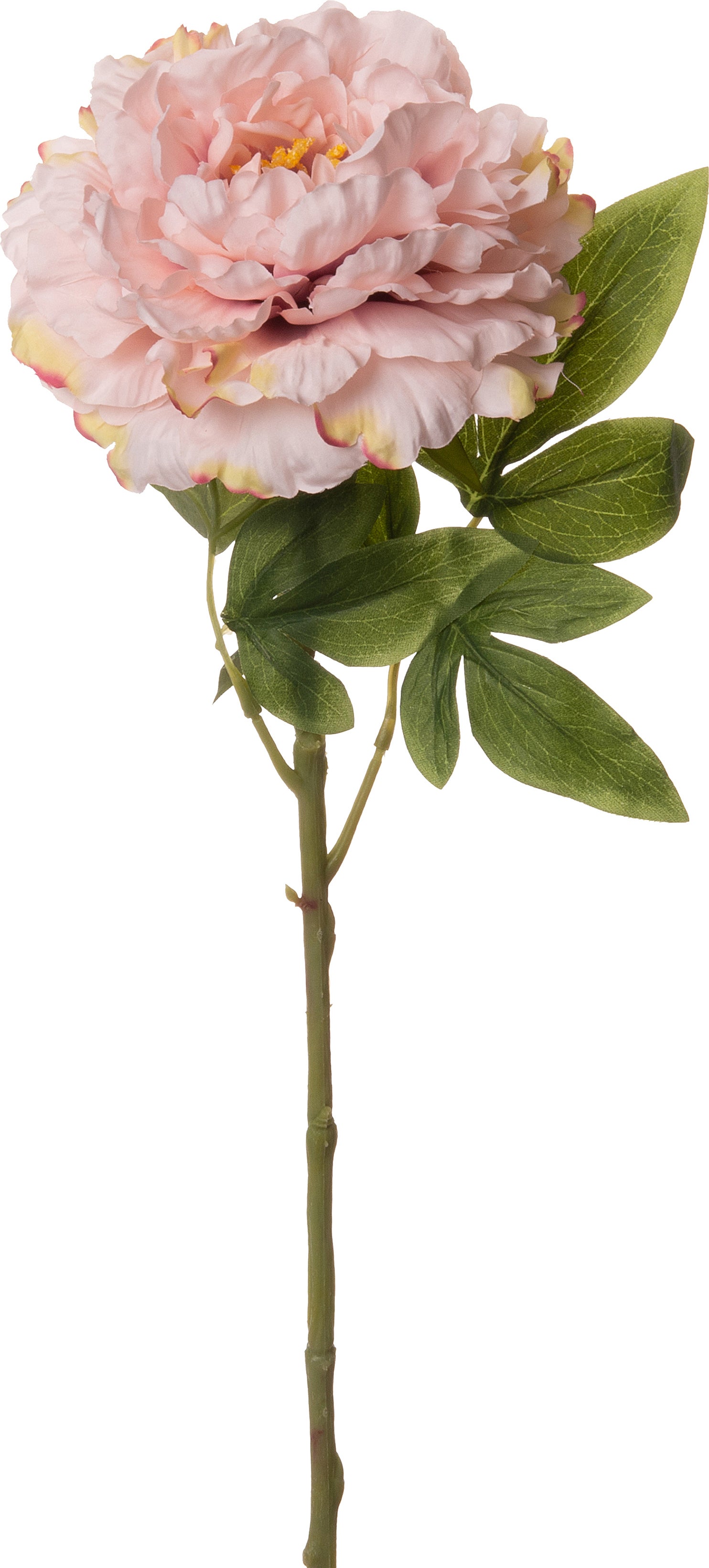 Intratuin kunstbloem Pioen roze 60 cm
