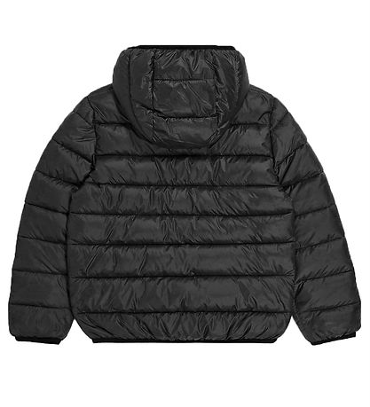 Champion Steppjacke - Schwarz