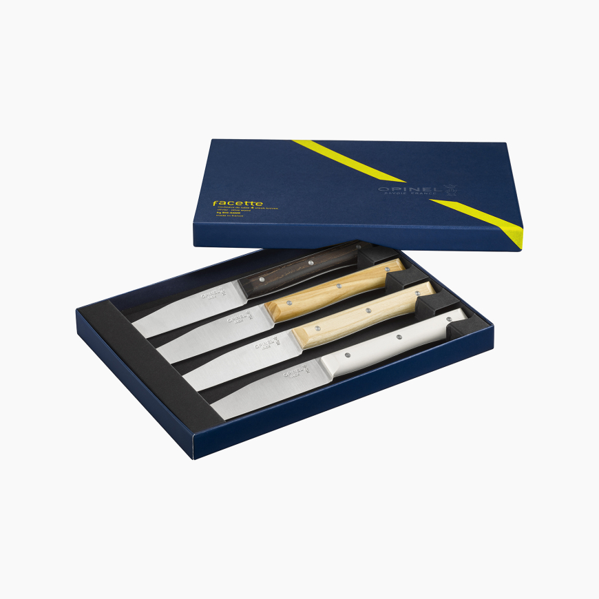 Coffret de 4 couteaux de table Facette Panaché