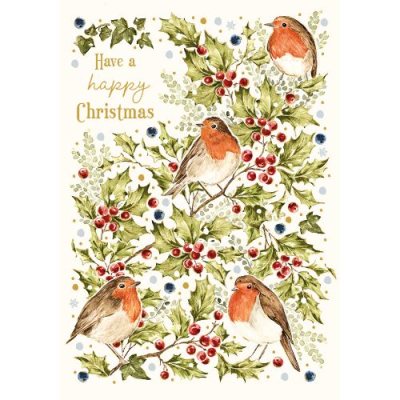 Robins Christmas Garden Card
