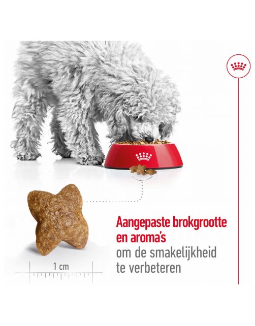 Royal Canin Mini Adult - Hondenvoer