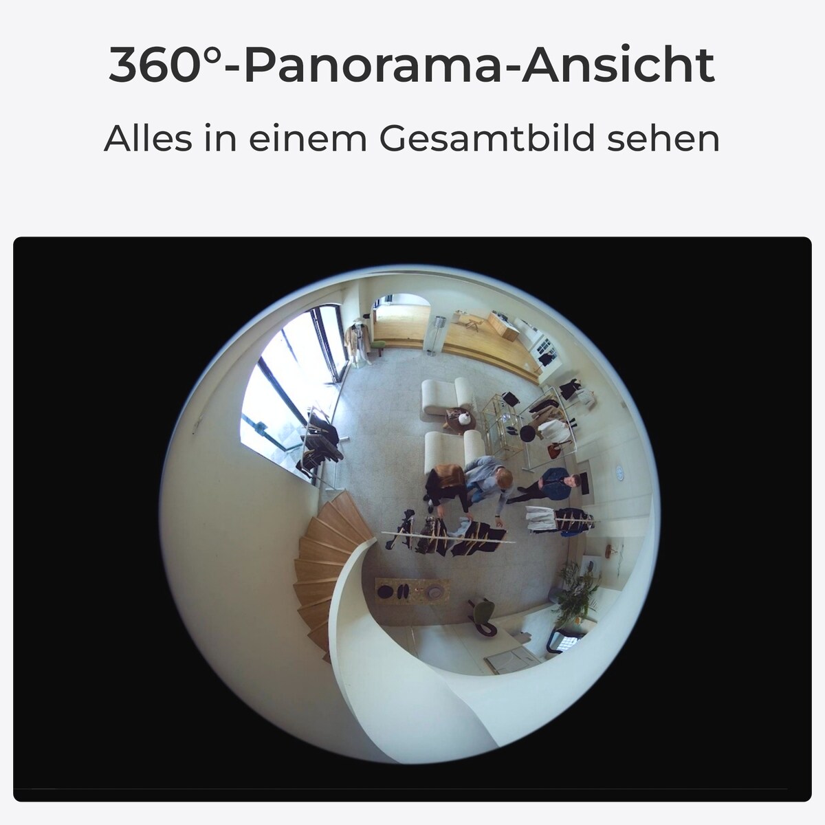 Reolink Fisheye Series W520 WiFi
