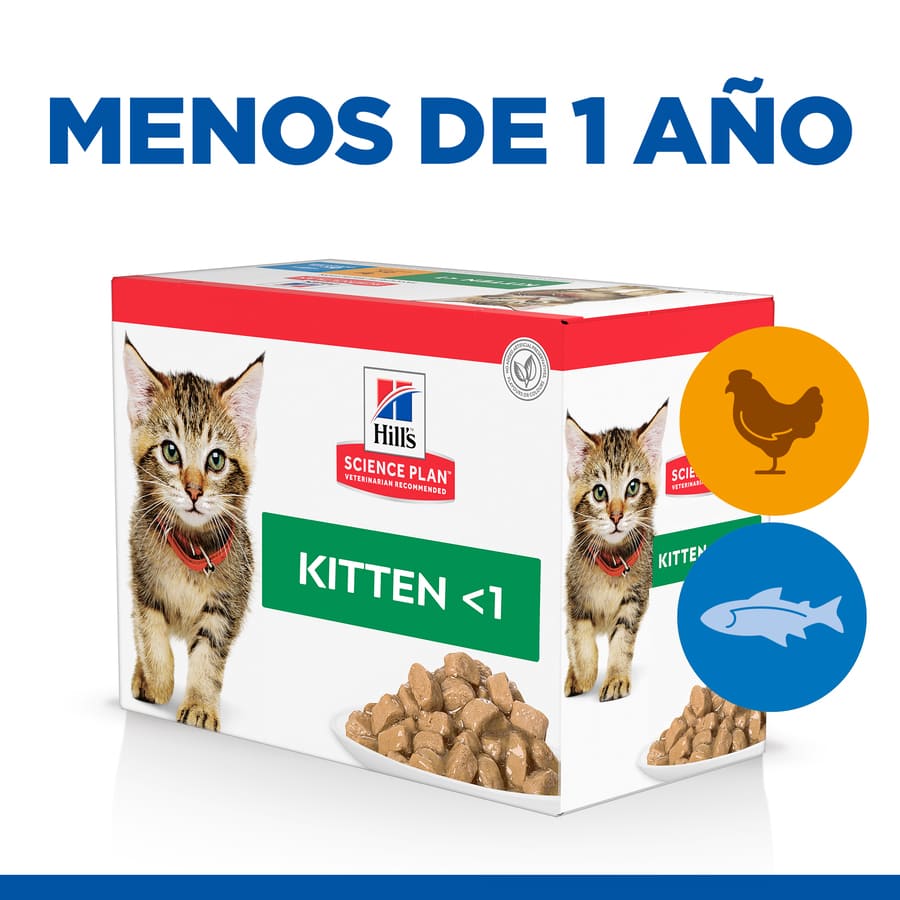 Pacote com várias embalagens de ração Hill's Science Plan para gatinhos, sabor frango e peixe.