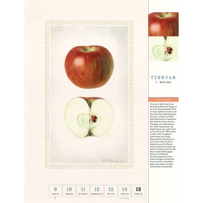 Thorbecke Apfel-Kalender 2026