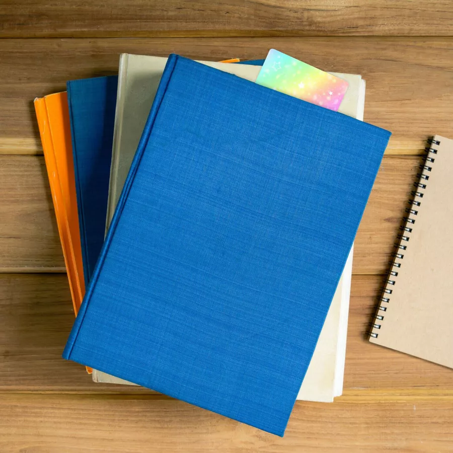 Nikima Lesepass Regenbogen Lesezeichen zum lesen üben Grundschule 10-100 Stück 100 Stück