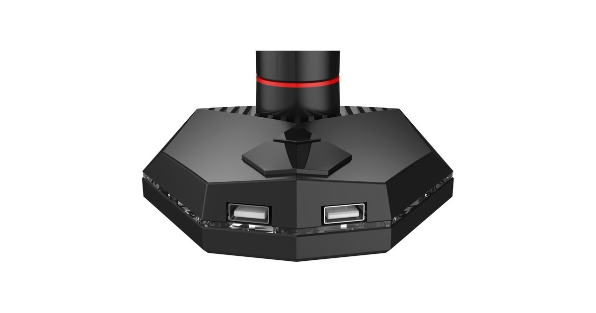 iiyamaDSG3001C-R1 monitorarm  (Zwart)