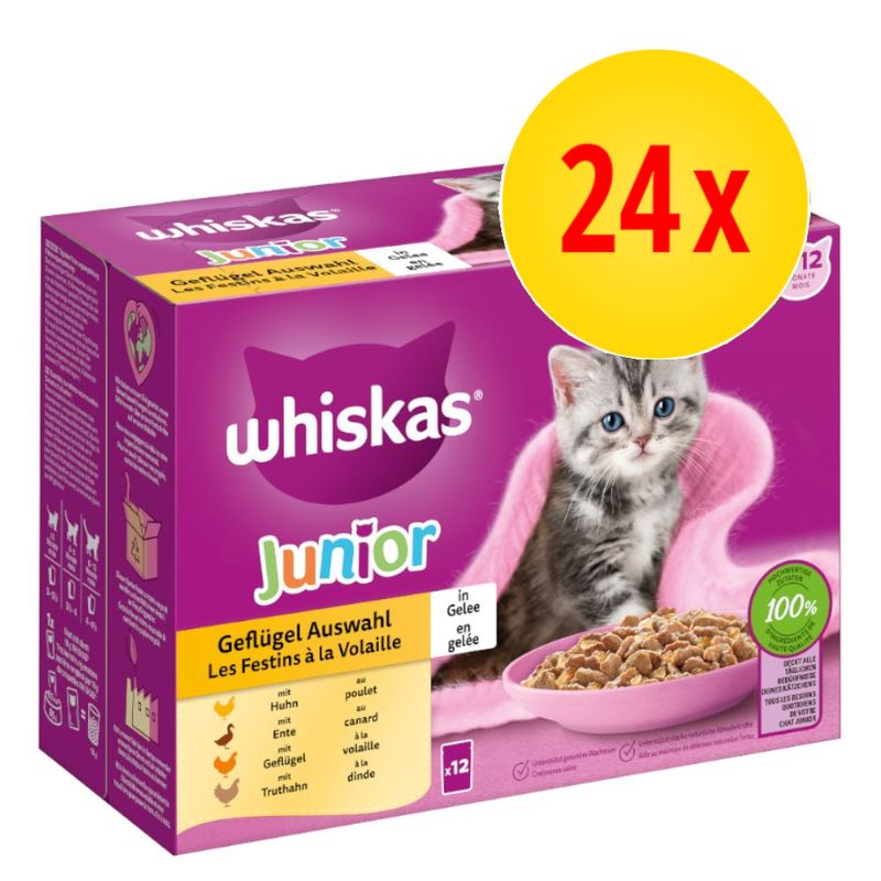 Whiskas Junior 24 x 85 g