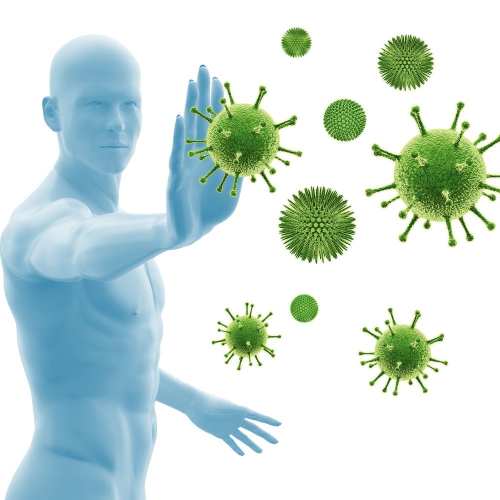 Lymphaden Hevert Lymphdrüsentabletten