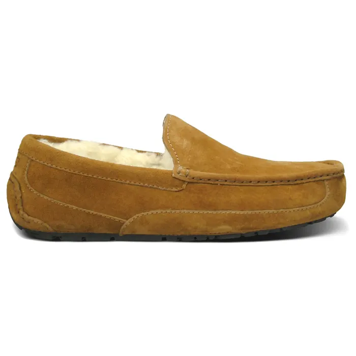UGG Ascot Pantoffels Heren