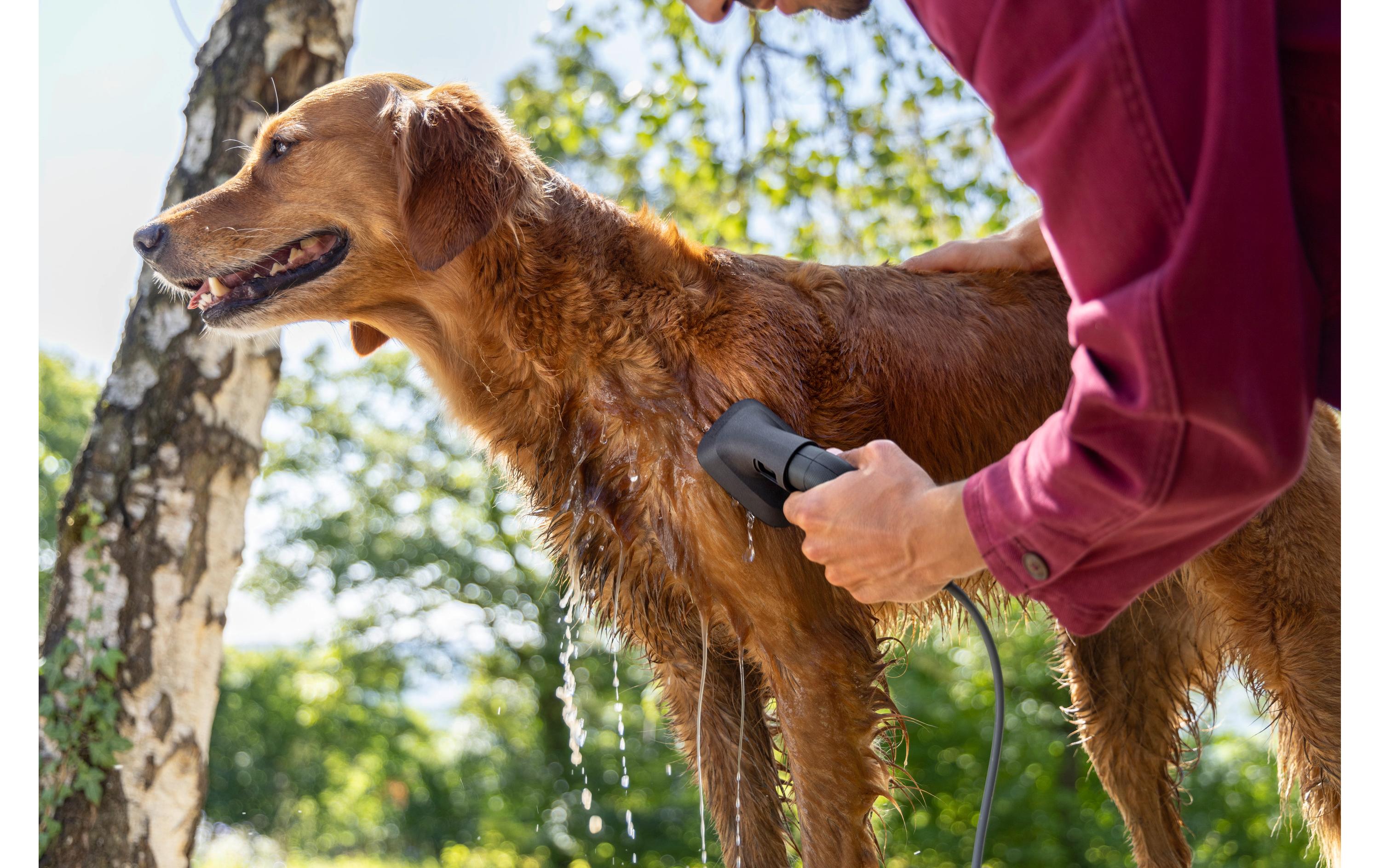 Waschbürste HaustierReinigung und Pflege von Haustieren, insbesondere für Hunde