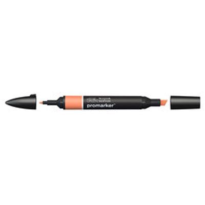 ProMarker - Marqueur double pointe - pêche