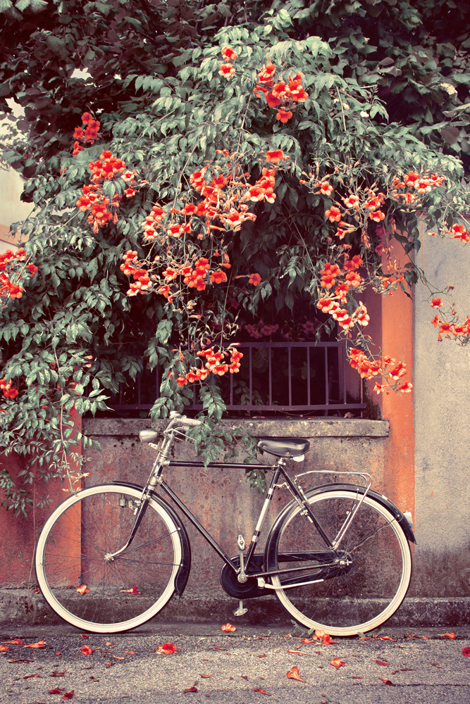Akustikbild FAHRRAD 80x120cm, 7kg
