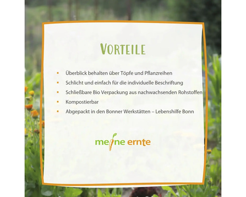 My Harvest Plant Labels, set van 25, hout